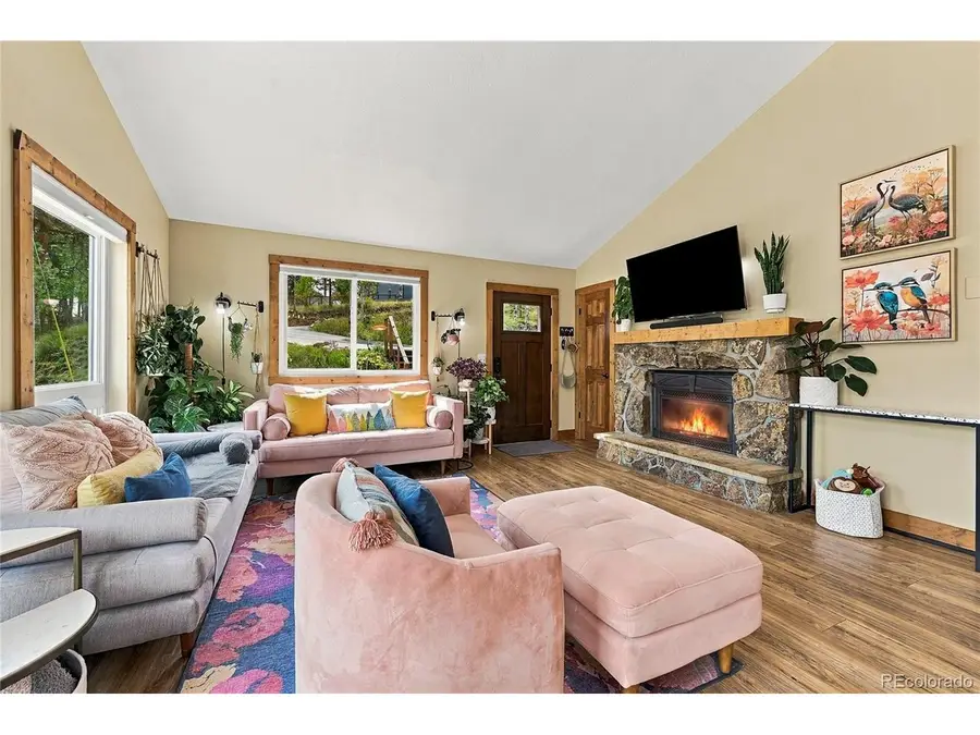 33165 Diana Rd, Pine, CO 80470 - #2