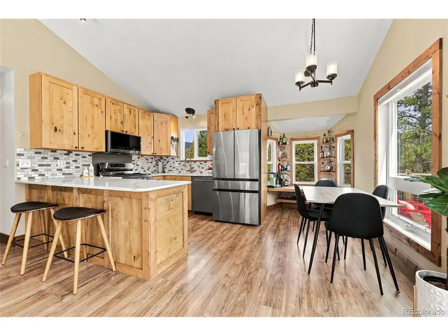 33165 Diana Rd, Pine, CO 80470 - #3