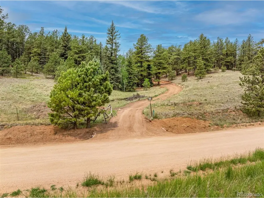 1459 Conestoga Creek Rd, Florissant, CO 80816 - #2