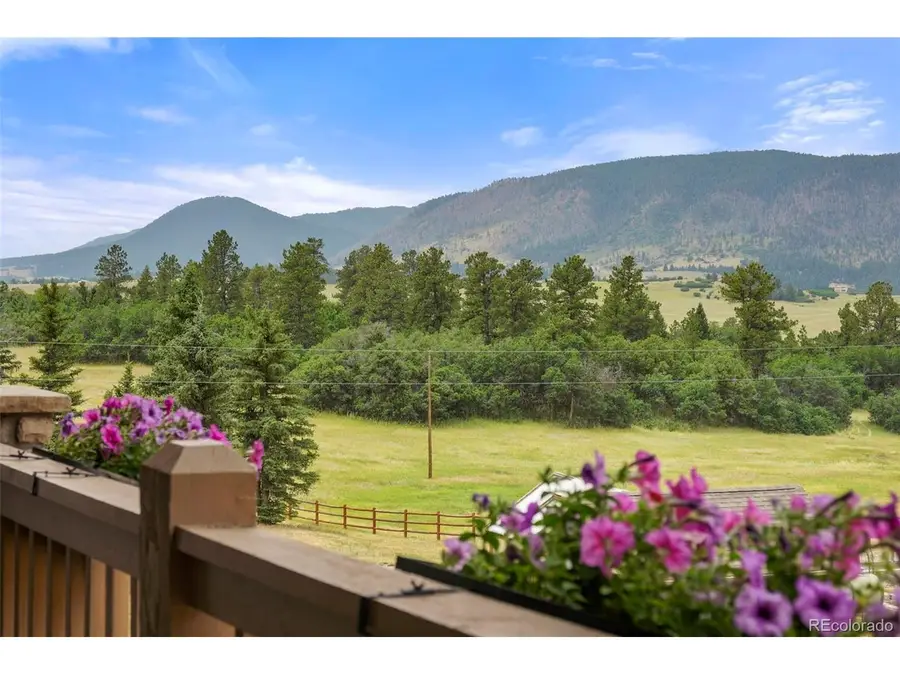 9610 S Perry Park Rd, Larkspur, CO 80118 - #3