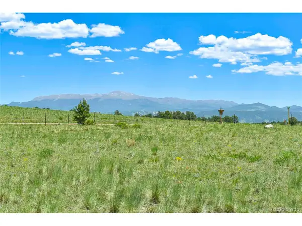 56 View Ln, Guffey, CO 80820