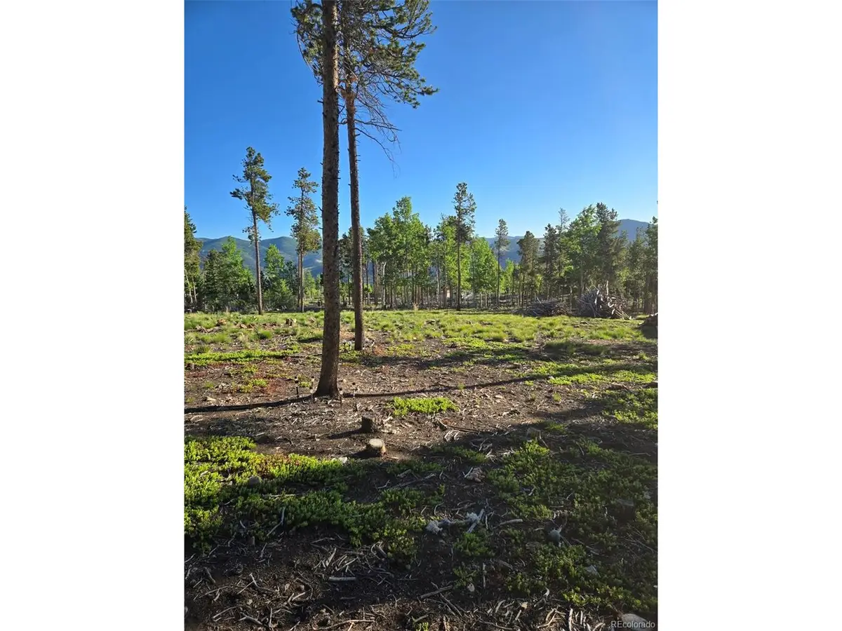 0 Frank C, Idaho Springs, CO 80452 - #1