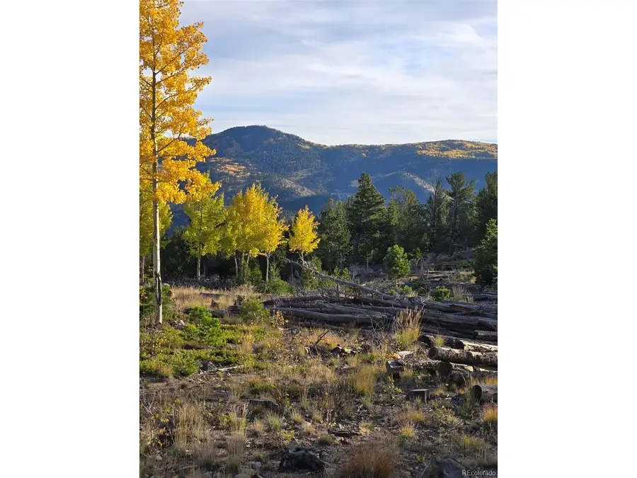 0 Frank C, Idaho Springs, CO 80452 - #3