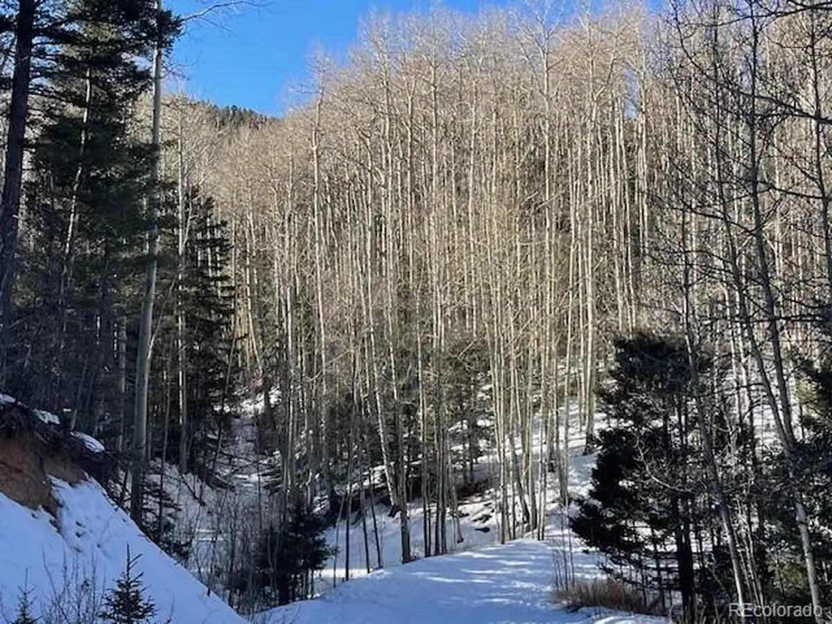 5252 Scott Rd, Fort Garland, CO 81133 - Image #1