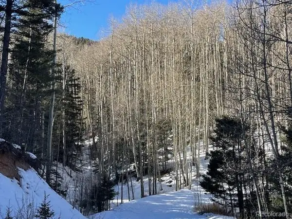 5252 Scott Rd, Fort Garland, CO 81133