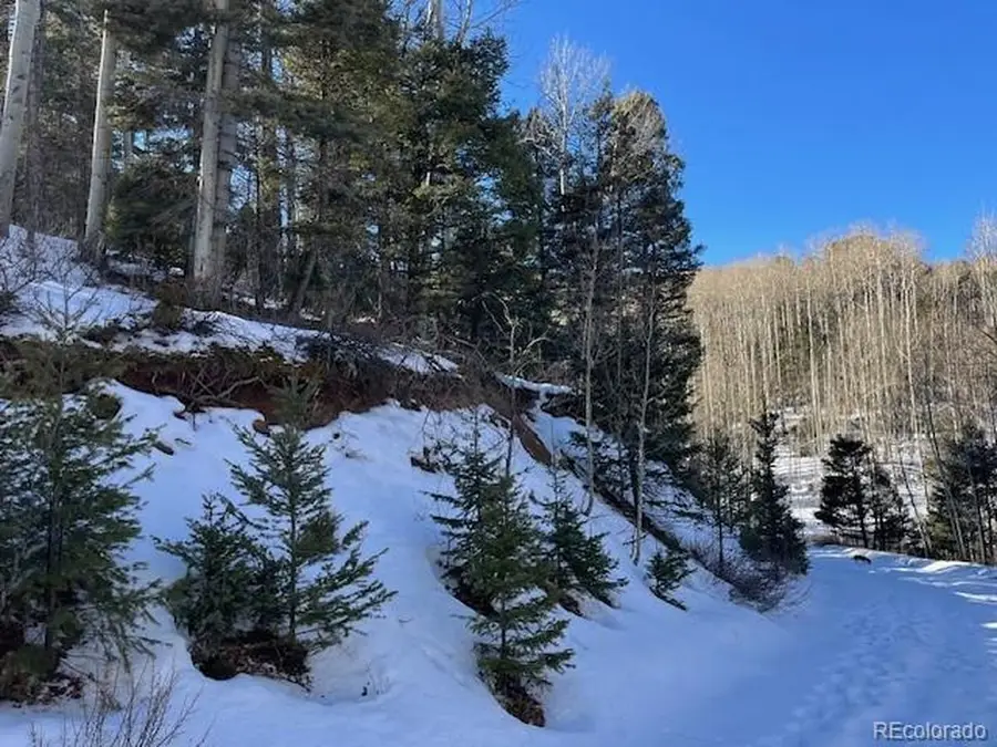 5252 Scott Rd, Fort Garland, CO 81133 - Image #2