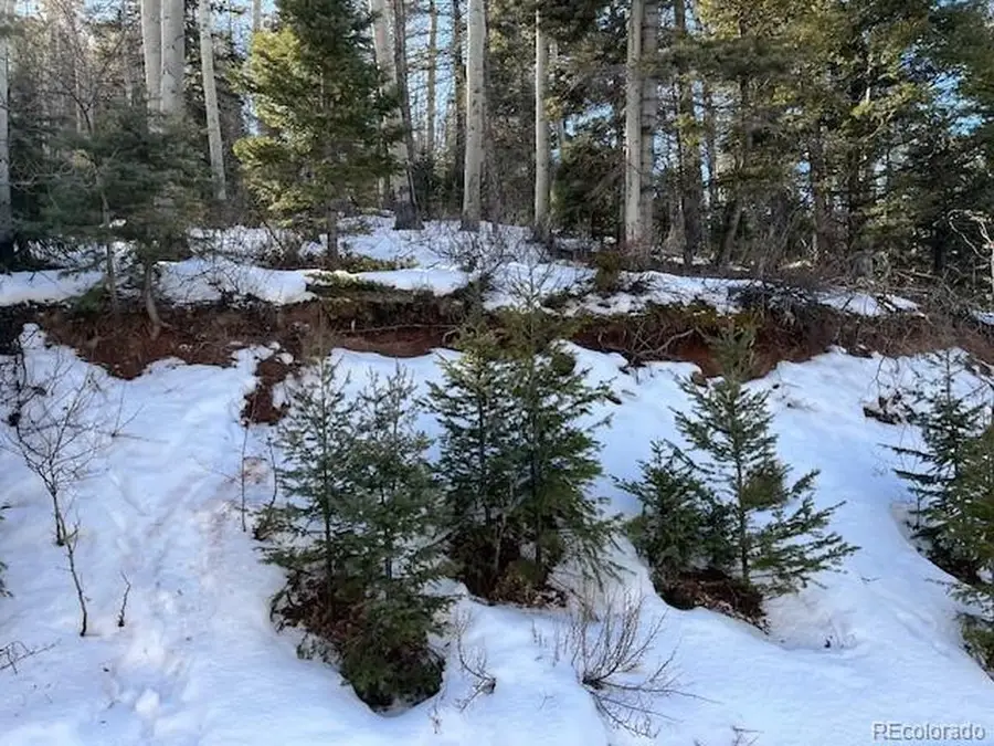 5252 Scott Rd, Fort Garland, CO 81133 - Image #3