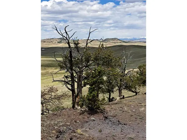 5250 Uxta Trl, Hartsel, CO 80449