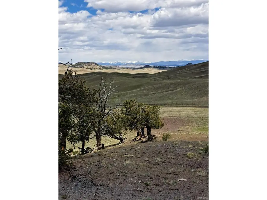5250 Uxta Trl, Hartsel, CO 80449 - Image #2