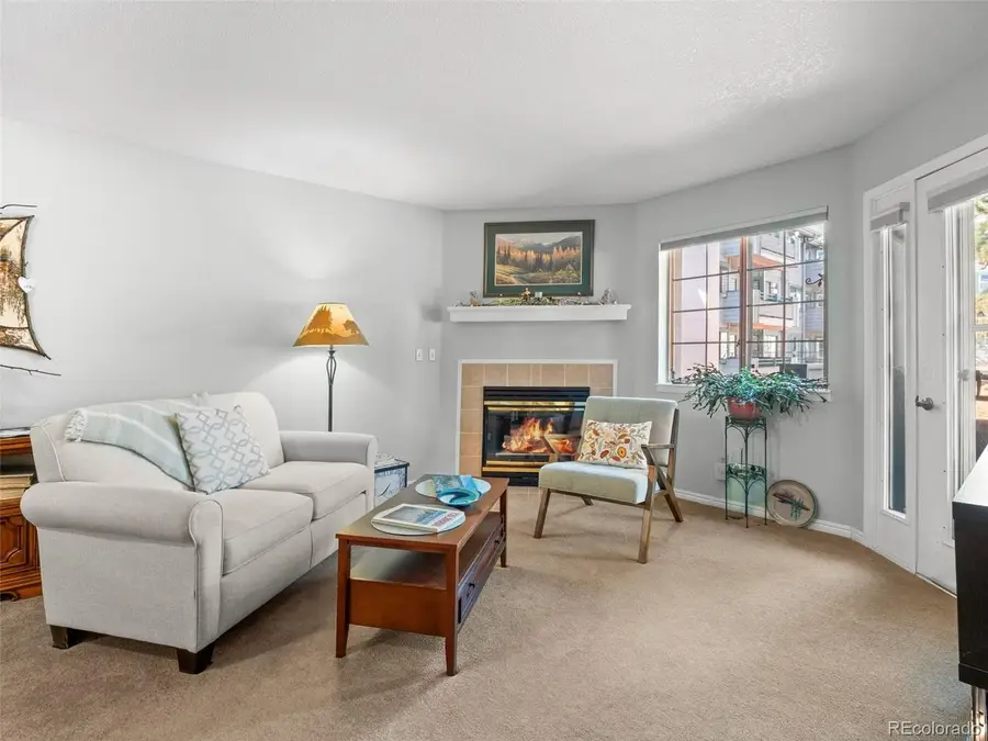 31819 Rocky Village Dr #205, Evergreen, CO 80439 - #3