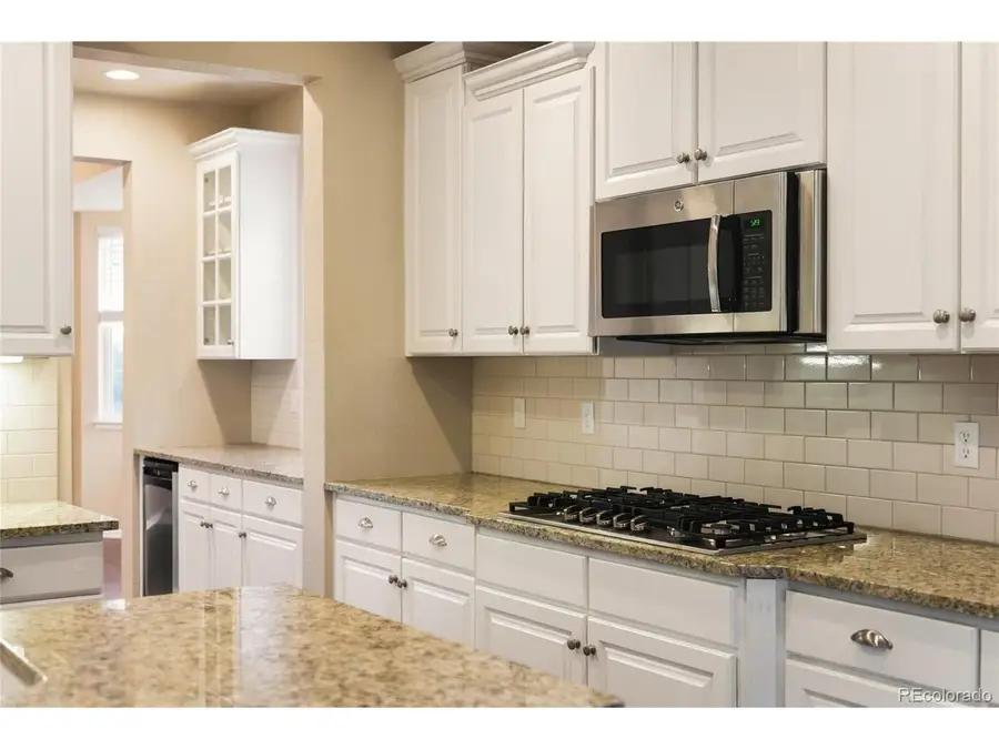 17038 Knollside Ave, Parker, CO 80134 - #3