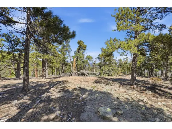 33149 Janelle Cir, Golden, CO 80403