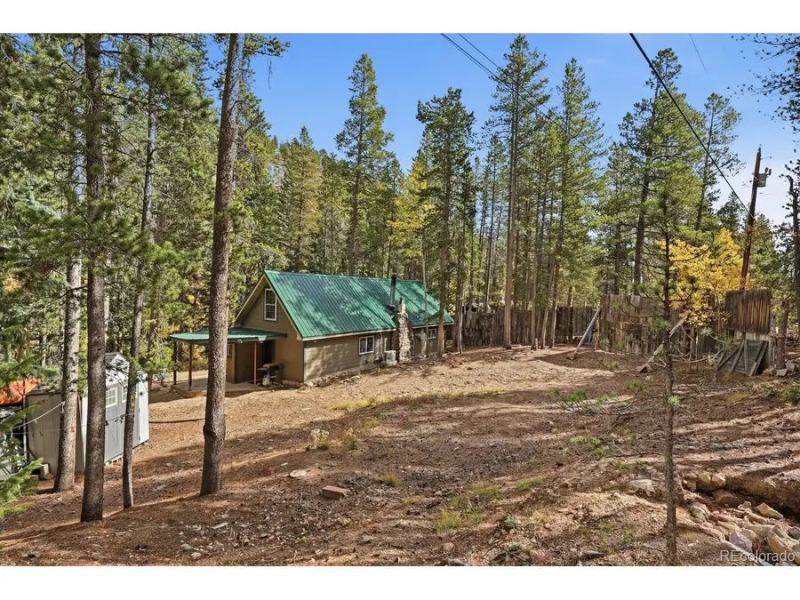 7823 County Road 43, Bailey, CO 80421 - #2