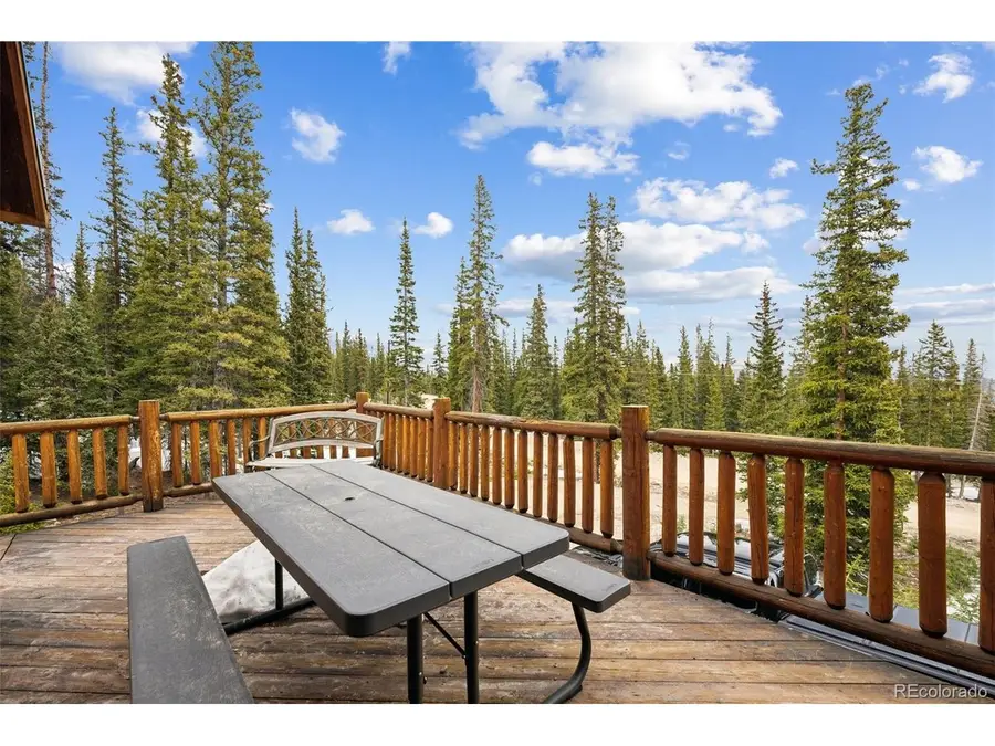 585 Miners Way, Fairplay, CO 80440 - #3