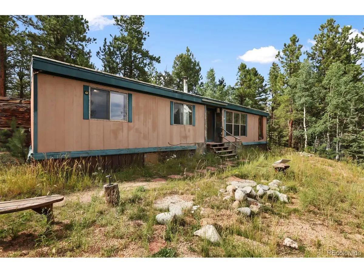 410 Rangeview Rd, Divide, CO 80814 - #1