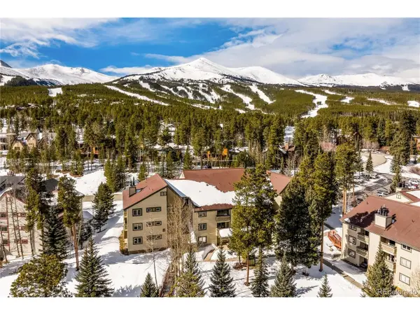 1001 Grandview Dr #22, Breckenridge, CO 80424