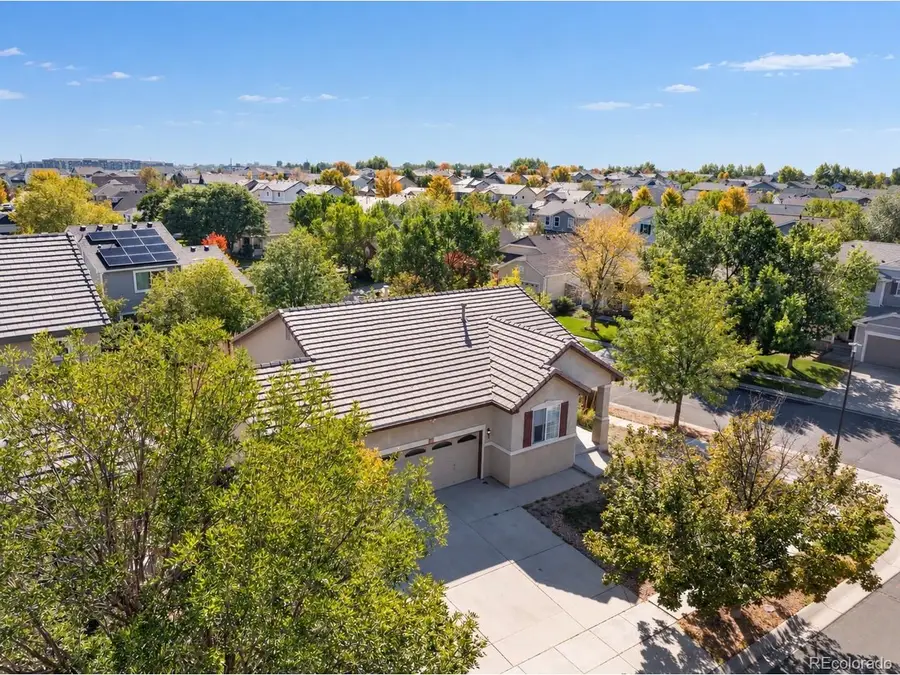 204 Straw Ct, Brighton, CO 80601 - #3