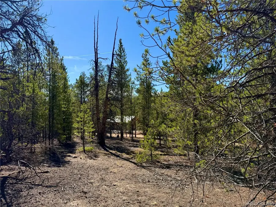 341 Aspen Dr, Leadville, CO 80461 - #3