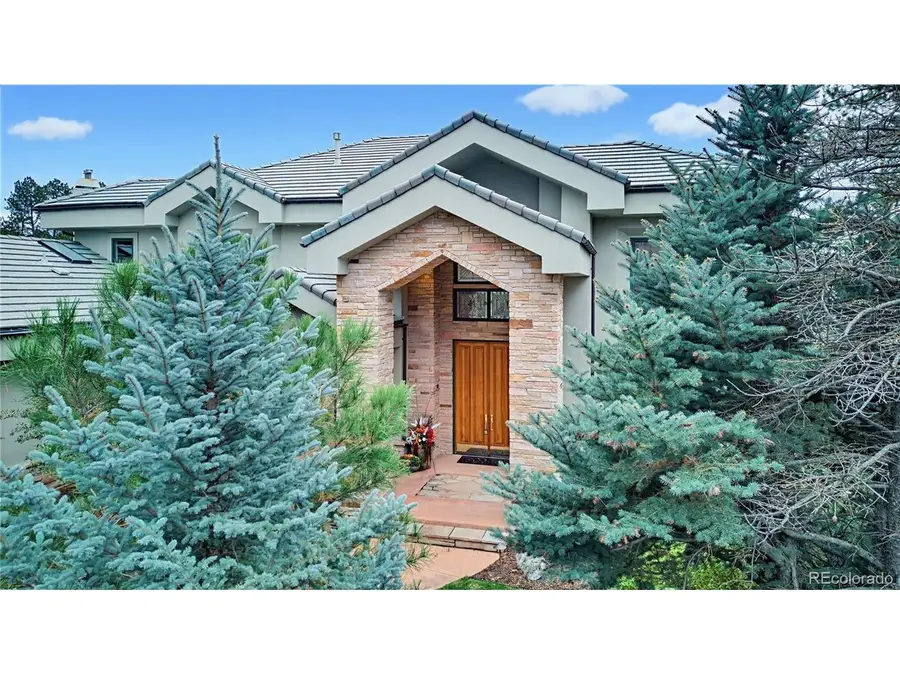 173 Ramshorn Dr, Castle Rock, CO 80108 - #2
