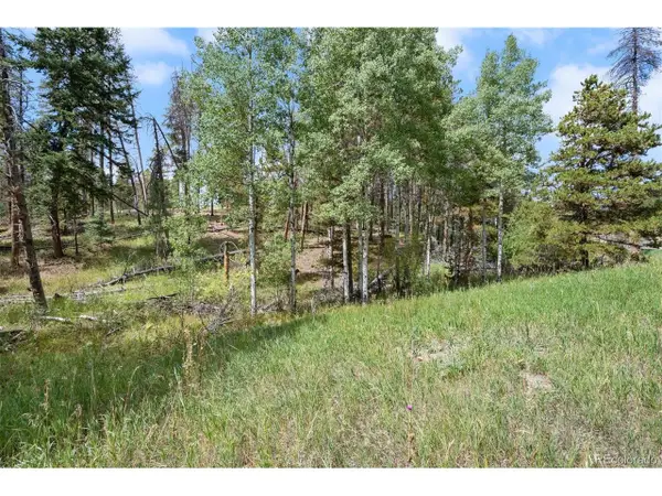 0 Lot 3 Indian Springs Rd, Conifer, CO 80123