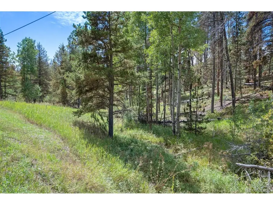 0 Lot 3 Indian Springs Rd, Conifer, CO 80123 - #3