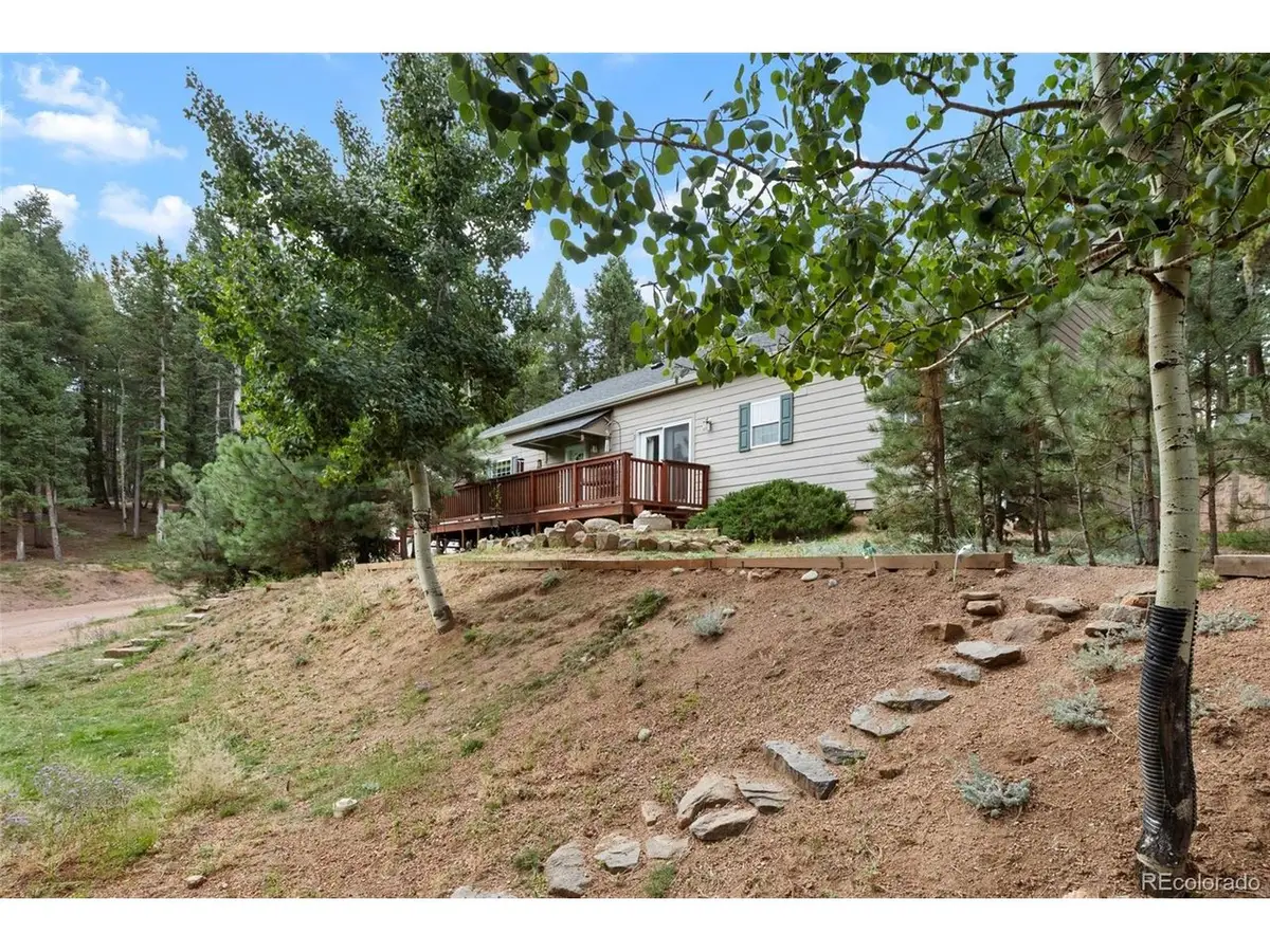 129 Kestrel Ct, Divide, CO 80814 - #1