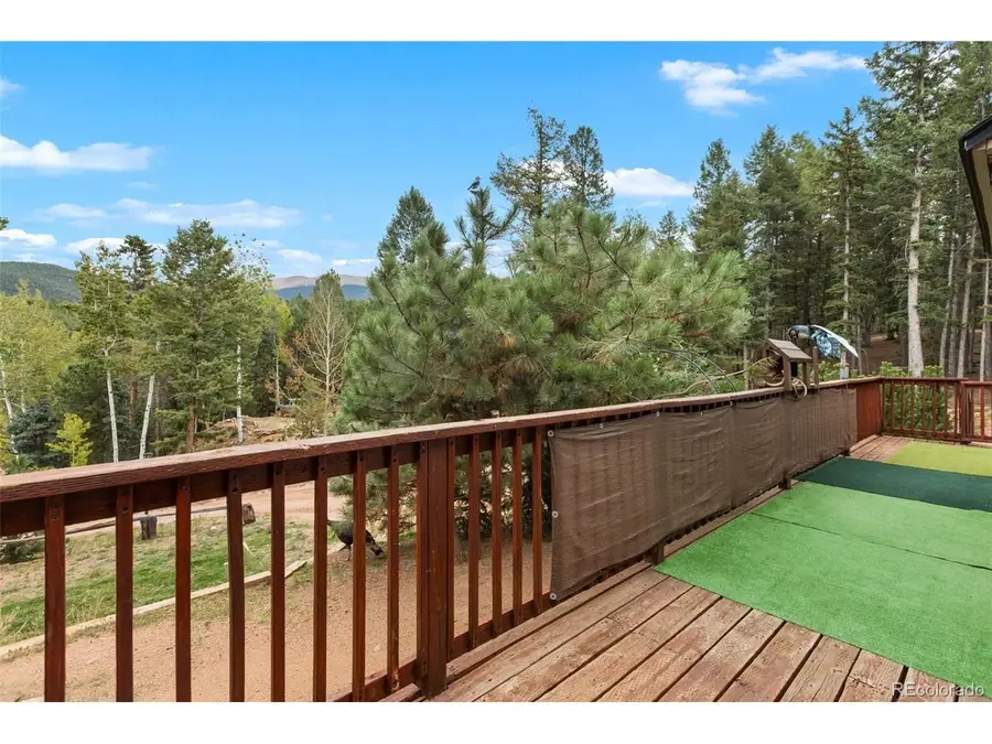 129 Kestrel Ct, Divide, CO 80814 - #3