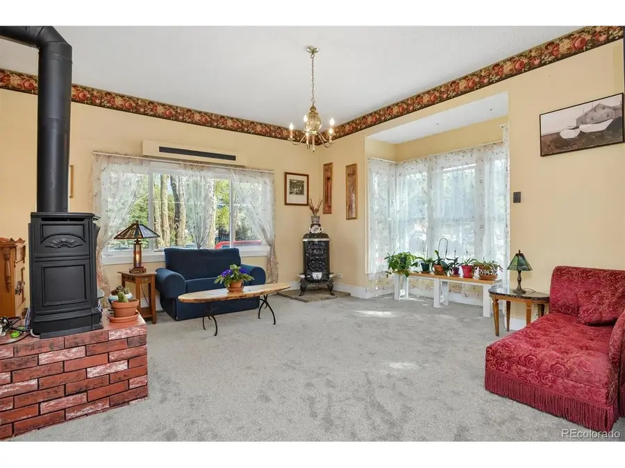 138 N Pleasant Ave, Buena Vista, CO 81211 - #2