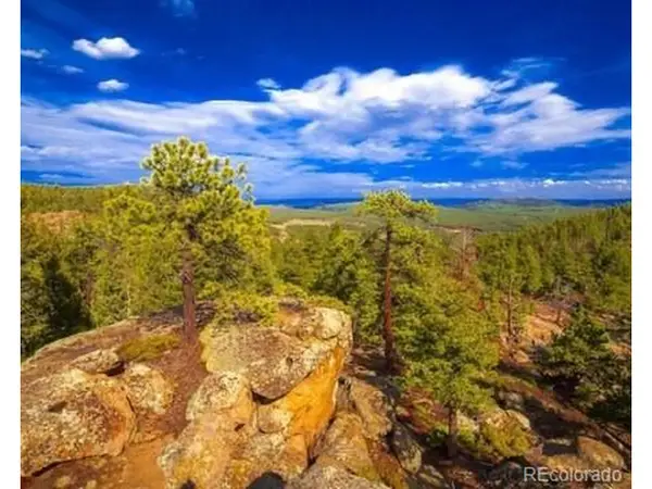 0 Tallberg Ln, Conifer, CO 80433