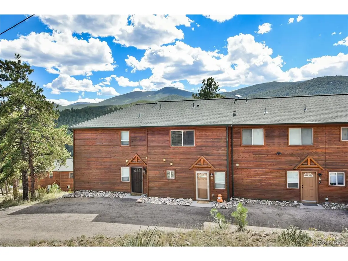 305 Virginia Rd #B, Bailey, CO 80421 - #1