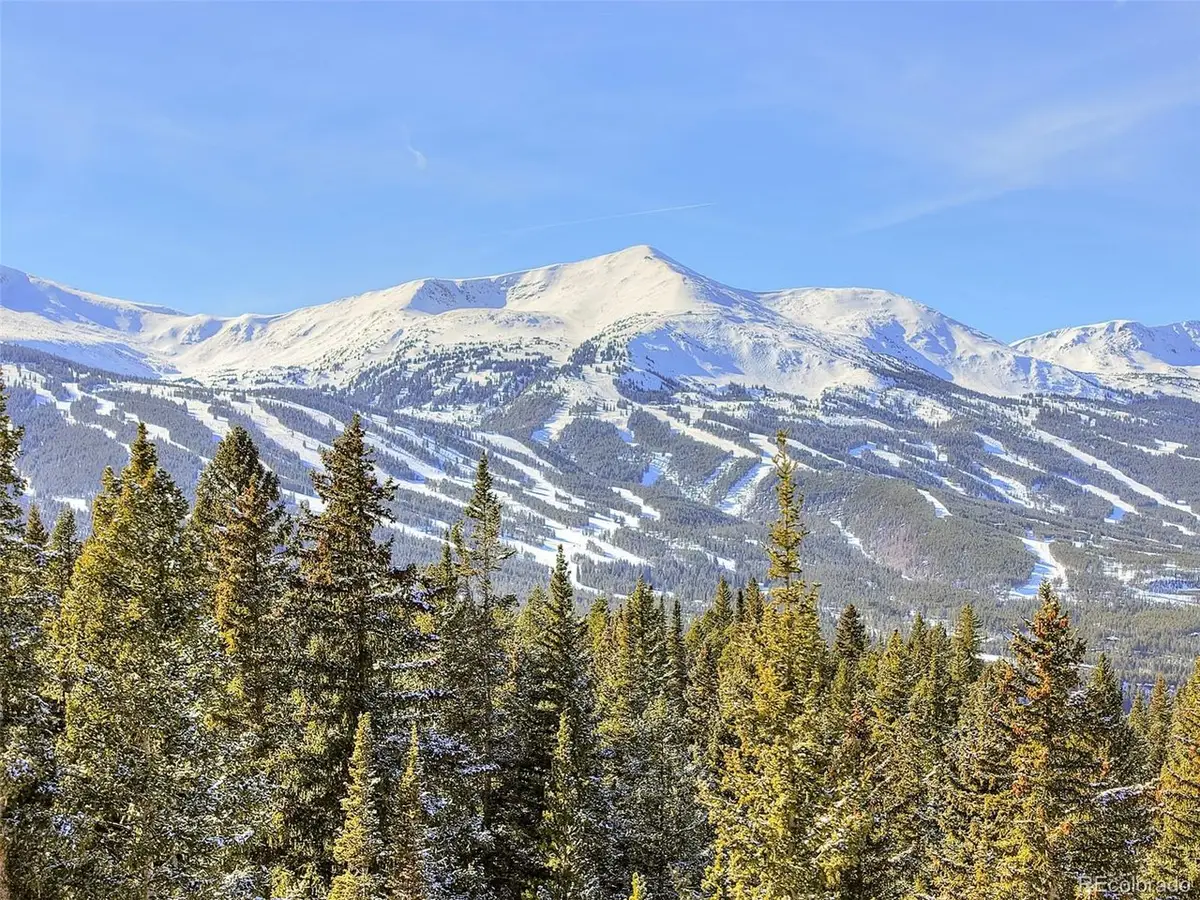 3362 Boreas Pass Rd, Breckenridge, CO 80424 - #1
