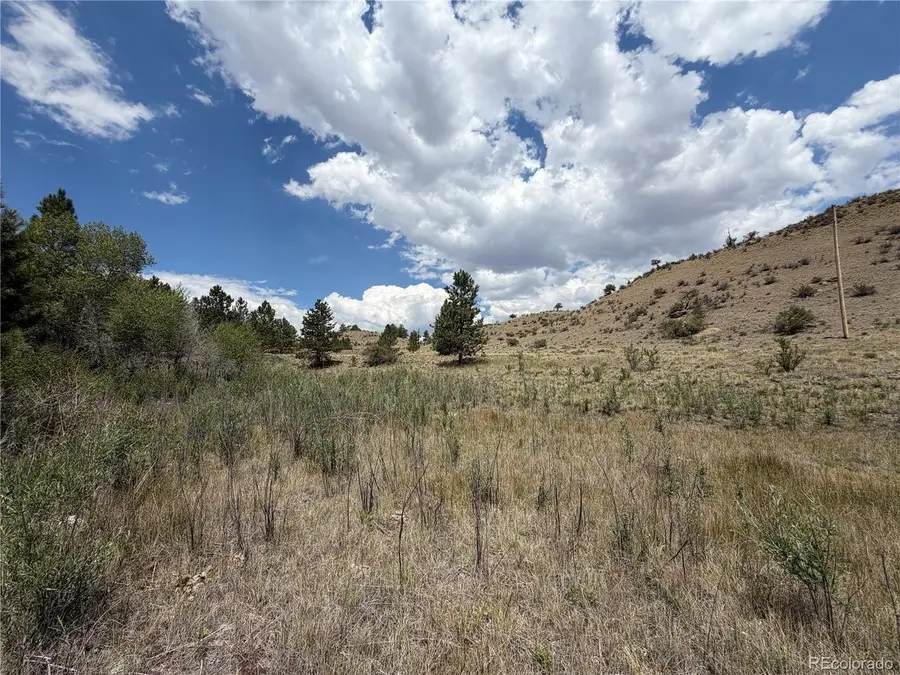 0 Trout St, Hartsel, CO 80449 - #3