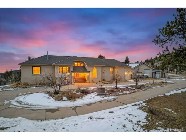 12291 S Critchell Ln, Littleton, CO 80127