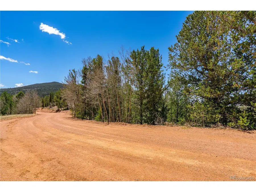 Brown Bear Dr, Cripple Creek, CO 80813 - #3