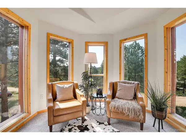 303 Kudu Trl, Bailey, CO 80421