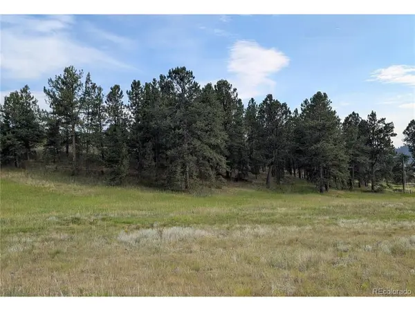 Address Withheld By Seller, Florissant, CO 80816
