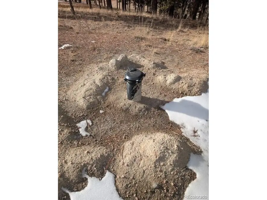 Address Withheld By Seller, Florissant, CO 80816 - #2