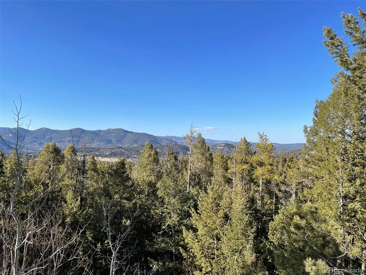 33131 Lynx Ln, Evergreen, CO 80439 - #1
