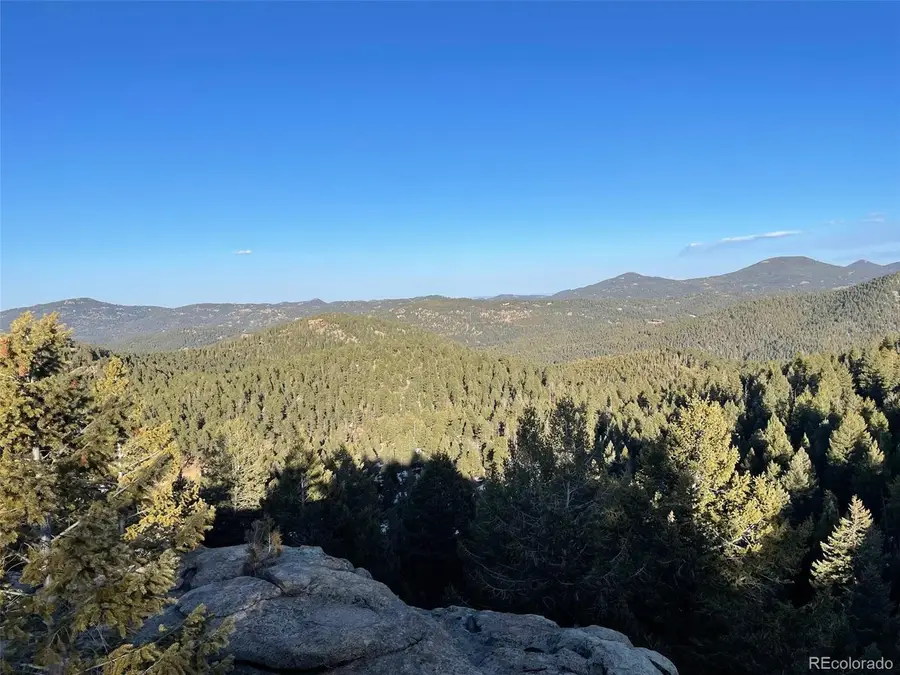 33131 Lynx Ln, Evergreen, CO 80439 - #3