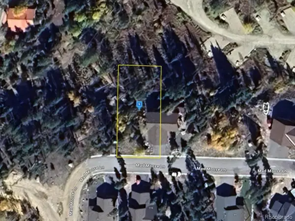 120 Mad Moose Ln, Grand Lake, CO 80447
