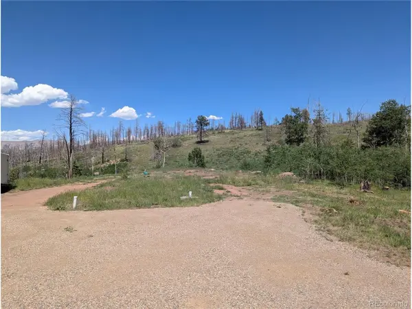 954 Forbes Park Rd, Fort Garland, CO 81133