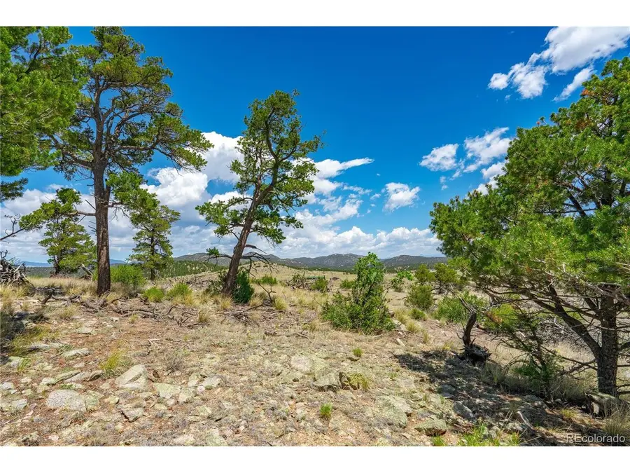 896 Shannon Trl, Cotopaxi, CO 81223 - #3