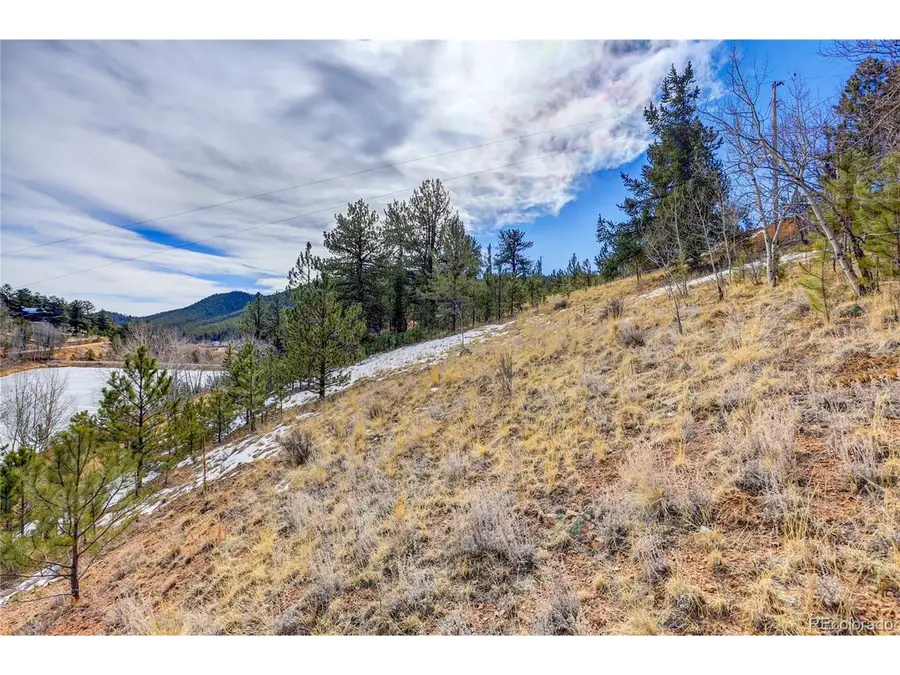 147 Ward St, Bailey, CO 80421 - #3