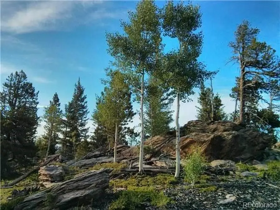 1695 Packsaddle Trl, Evergreen, CO 80439 - Image #3