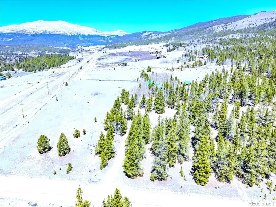 15 Placer Dr, Alma, CO 80420 - #3