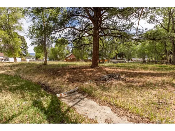 Address Withheld By Seller, Buena Vista, CO 81211