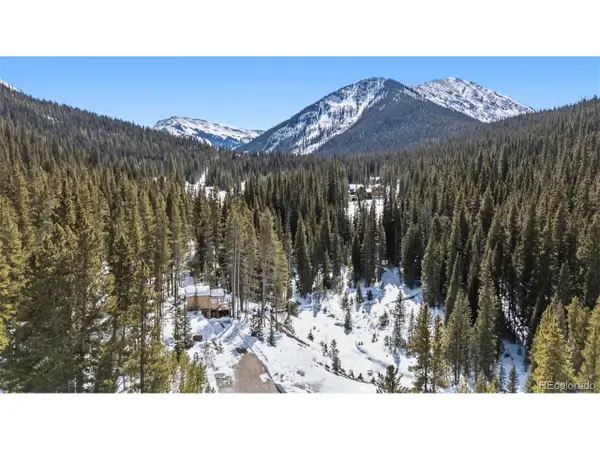 5080 Montezuma Rd, Montezuma, CO 80435