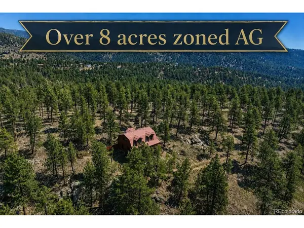 5235 County Road 72, Bailey, CO 80421