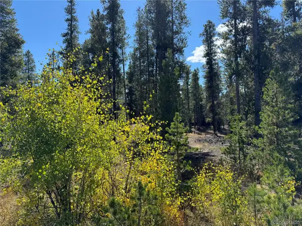 517 Augusta Dr, Leadville, CO 80461