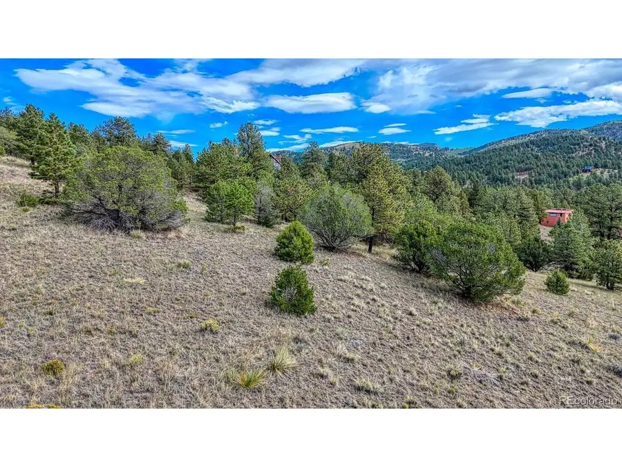 344 Matterhorn Cir, Westcliffe, CO 81252 - #3